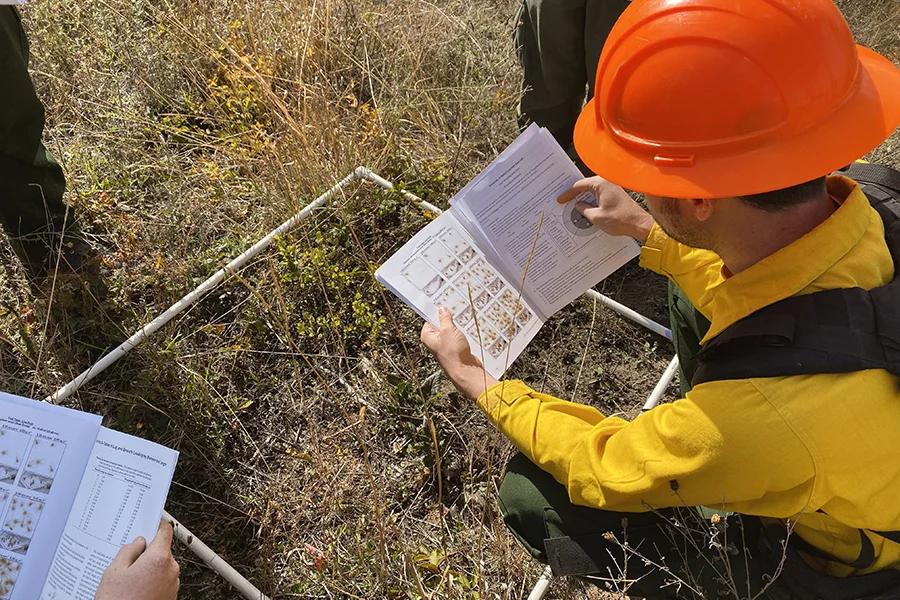 2019 10 05 Fall 2019 Cascadia TREX Fire And Fuels Class Kara Karboski 0168