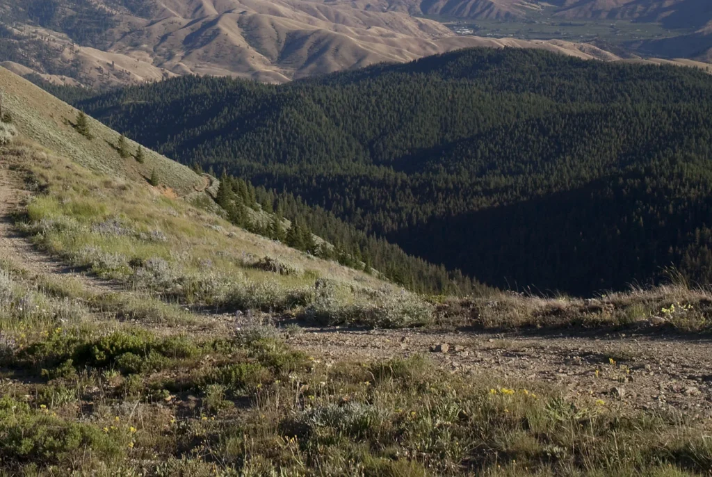 Chumstick Mtn SE 2012
