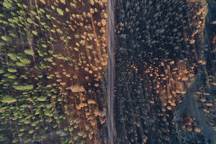DJI 0375 Coyote Copy