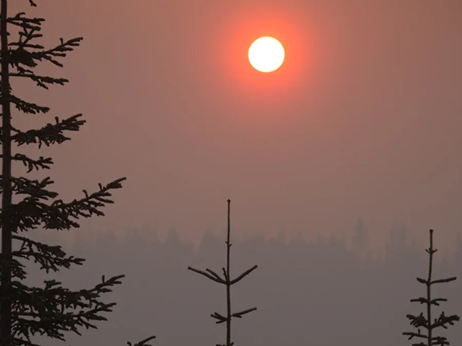 Umpqua NF Fires 2017 Oregon  Rattlesnake Fire Crop