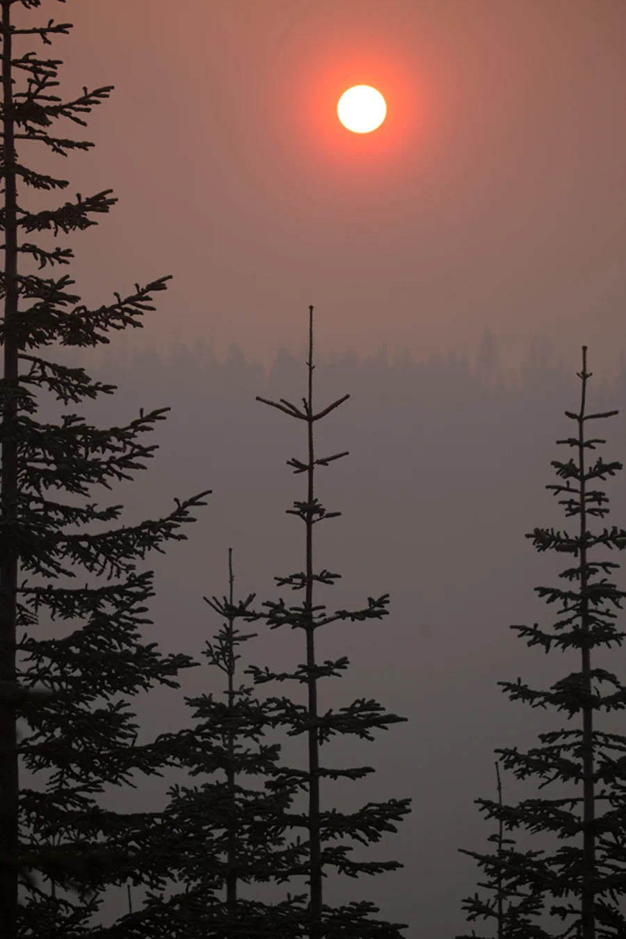 Umpqua NF Fires 2017 Oregon  Rattlesnake Fire