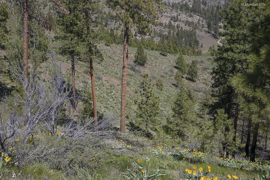 SB 26 1 2024 Individuals